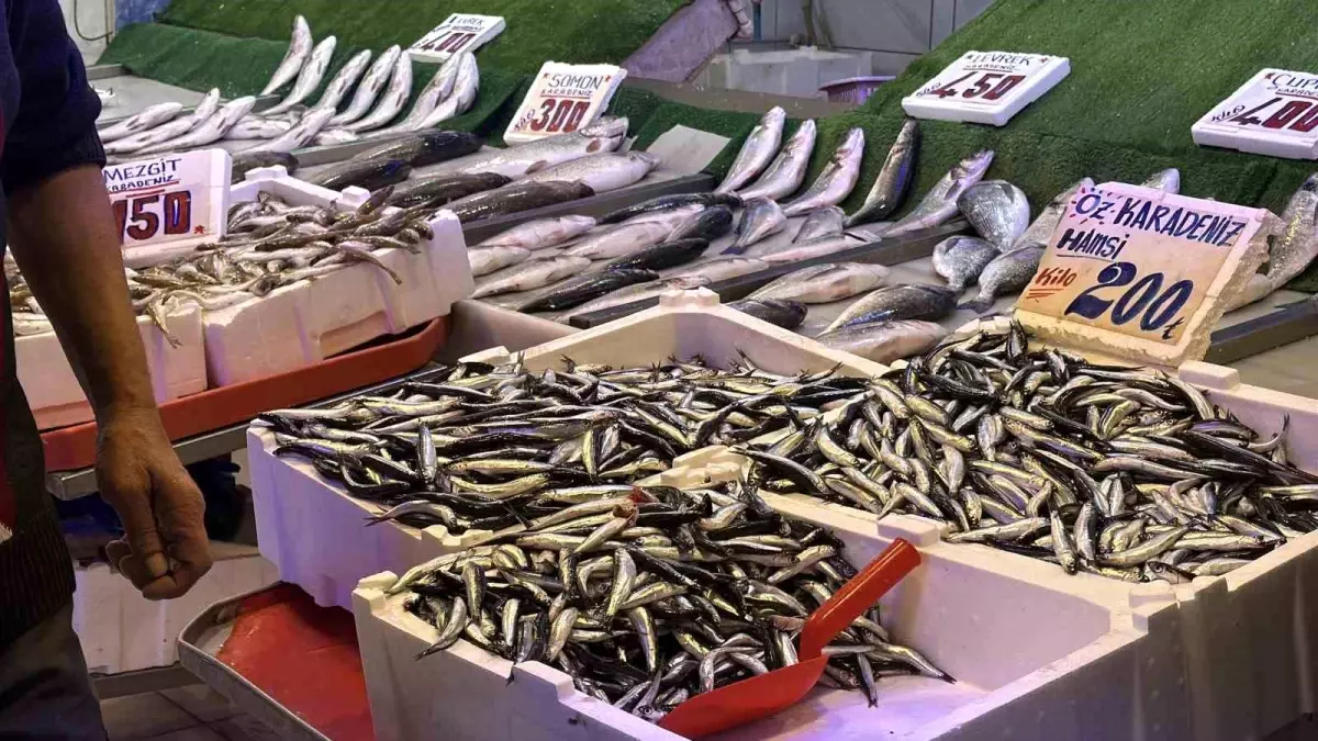 hamsi tezgahlarda palamutun yerini aldi Yki1DdNv.jpg