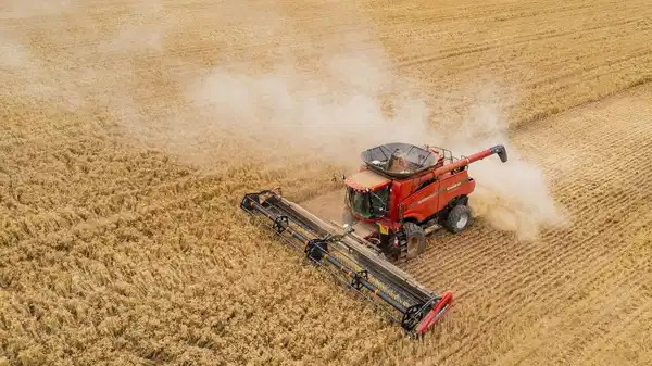 tuik eylul verilerini acikladi tarimda uretici fiyatlari yukseldi l4h8uN9Q.jpg