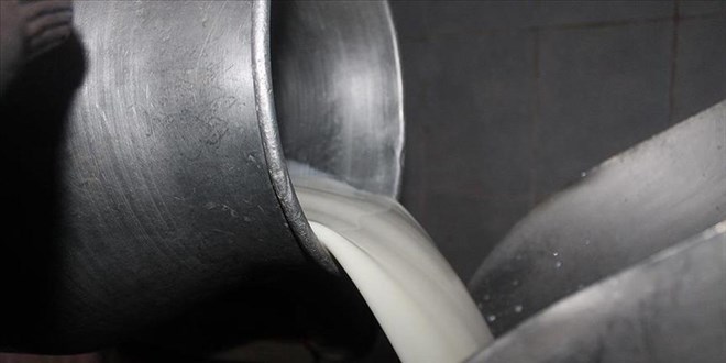 cig inek sutunun yag degerlerinde degisiklik yapildi PtVuJUVh.jpg